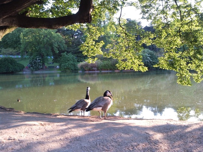 parc montsouris 16
